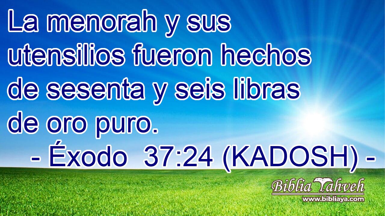  La menorah y sus utensilios fueron hechos de sesenta y seis libras de oro puro. 