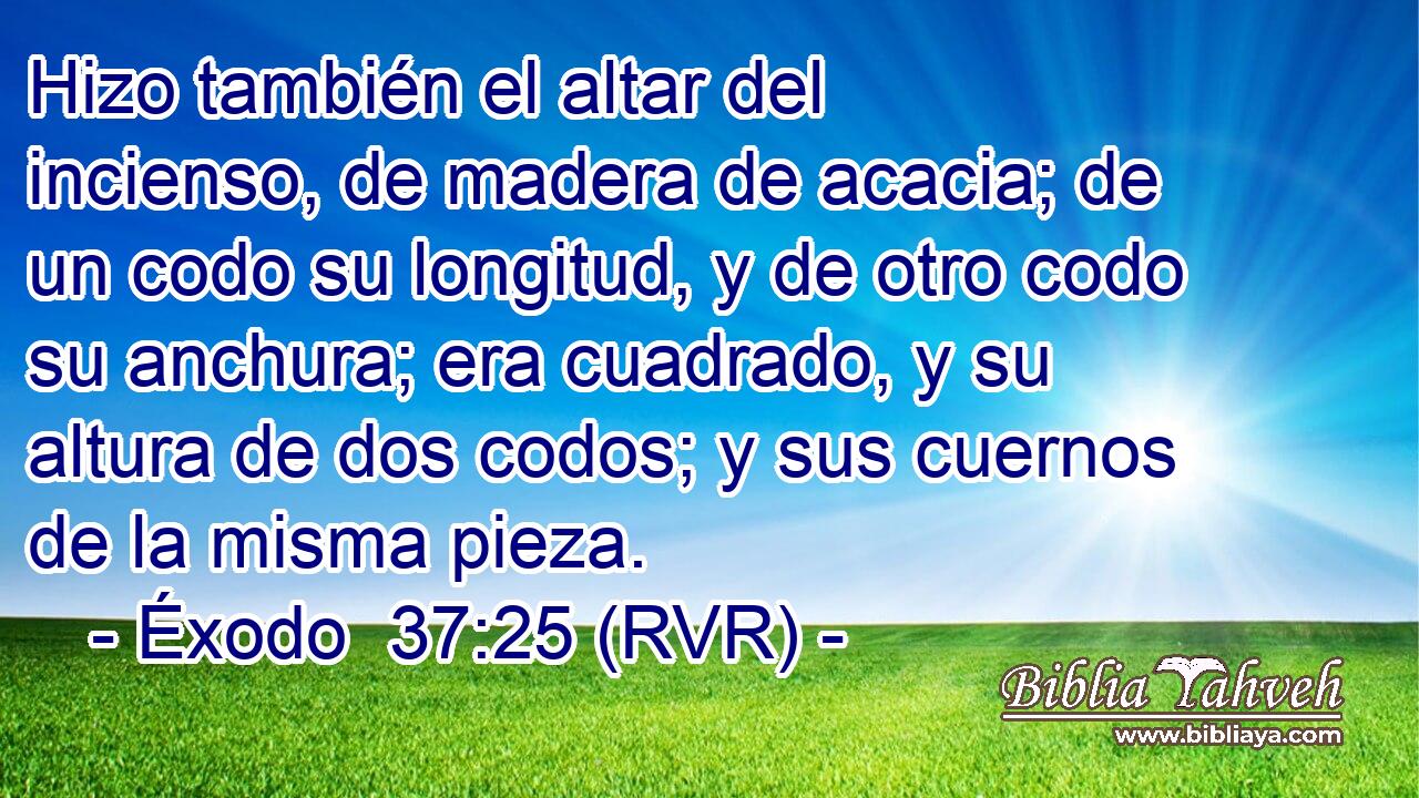 Hizo también el altar del incienso, de madera de acacia; de un codo su longitud, y de otro codo su anchura; era cuadrado, y su altura de dos codos; y sus cuernos de la misma pieza.