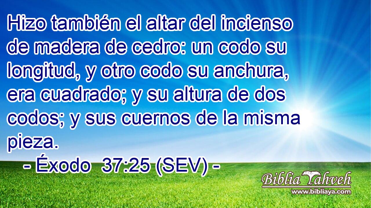 Hizo también el altar del incienso de madera de cedro: un codo su longitud, y otro codo su anchura, era cuadrado; y su altura de dos codos; y sus cuernos de la misma pieza.