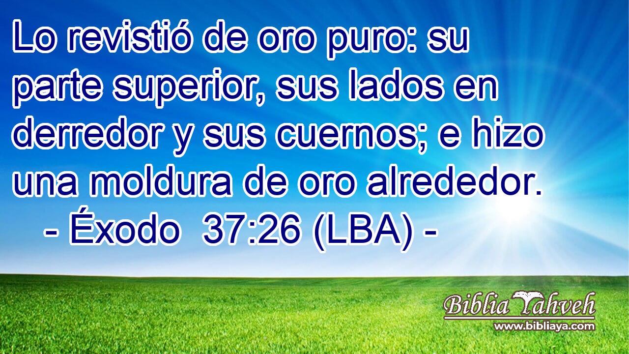 Lo revistió de oro puro: su parte superior, sus lados en derredor y sus cuernos; e hizo una moldura de oro alrededor.