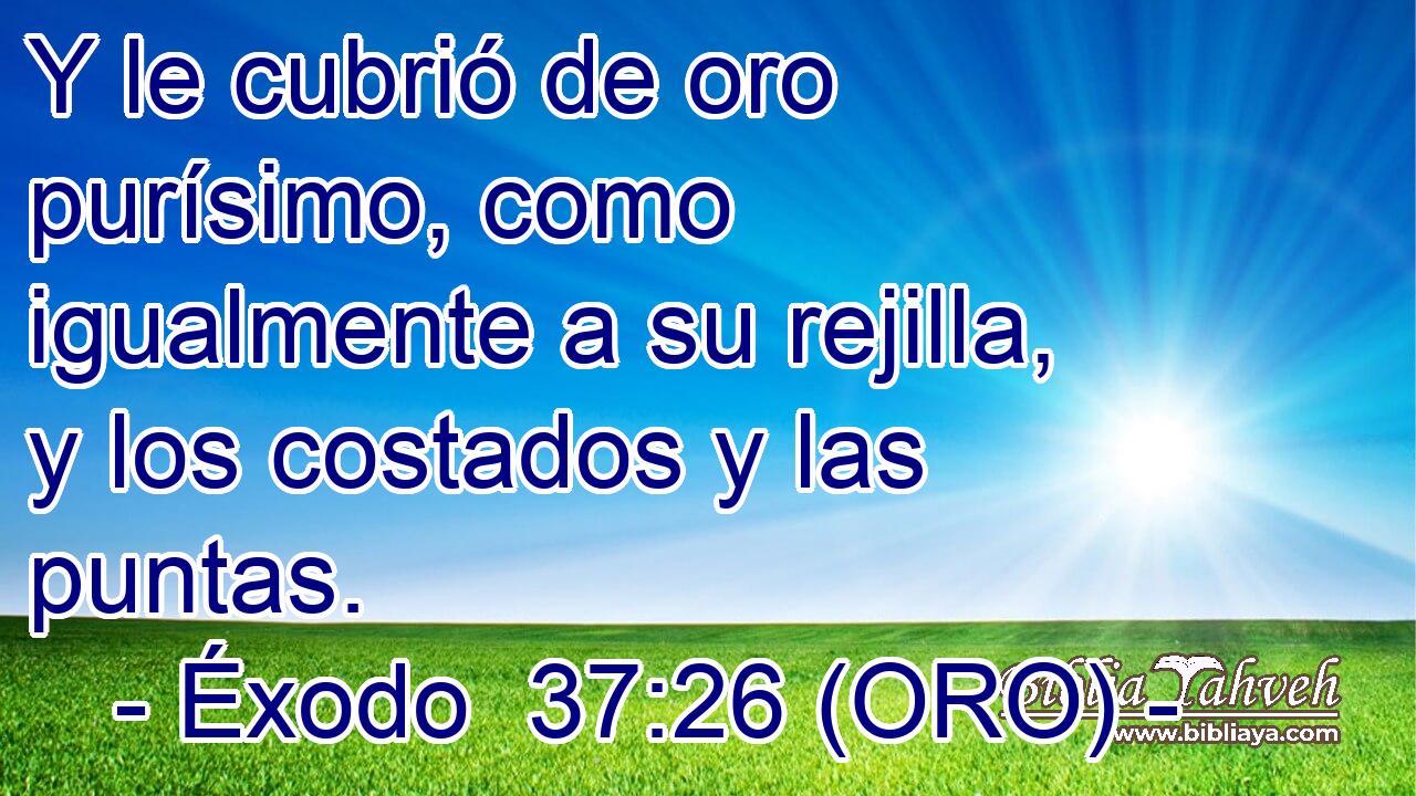  Y le cubrió de oro purísimo, como igualmente a su rejilla, y los costados y las puntas. 