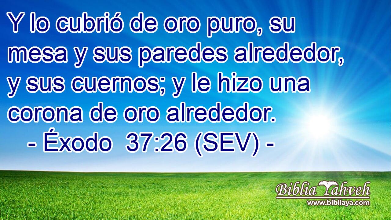 Y lo cubrió de oro puro, su mesa y sus paredes alrededor, y sus cuernos; y le hizo una corona de oro alrededor.
