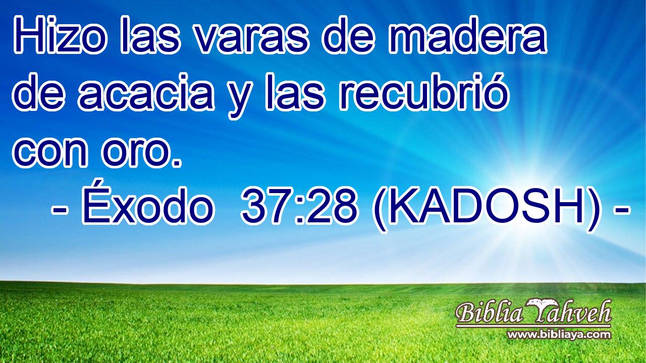  Hizo las varas de madera de acacia y las recubrió con oro. 
