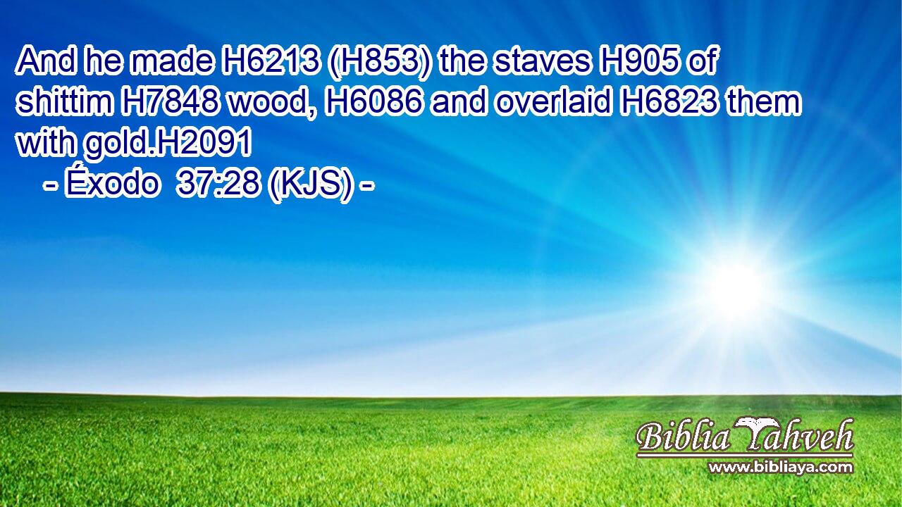 And he made H6213 (H853) the staves H905 of shittim H7848 wood, H6086 and overlaid H6823 them with gold.H2091