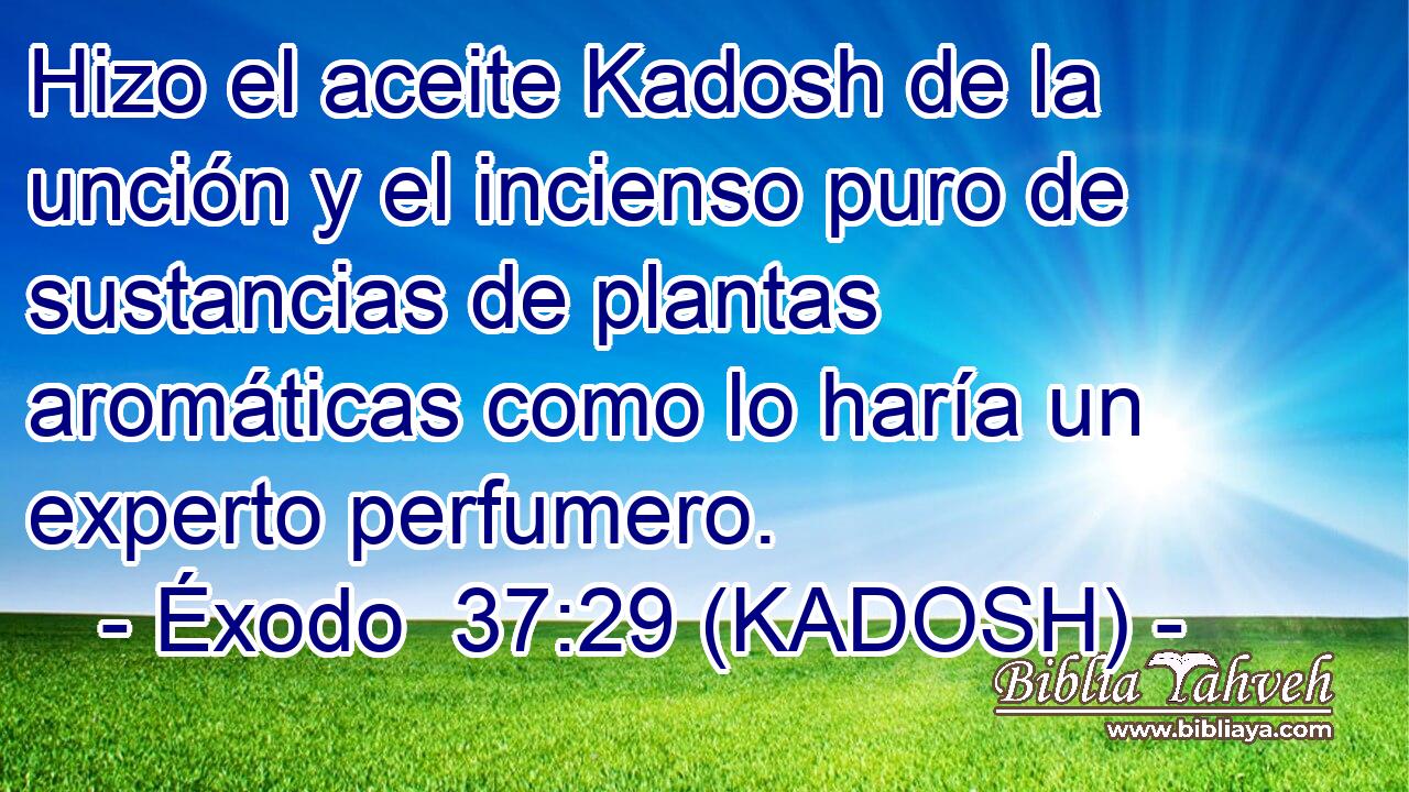  Hizo el aceite Kadosh de la unción y el incienso puro de sustancias de plantas aromáticas como lo haría un experto perfumero. 