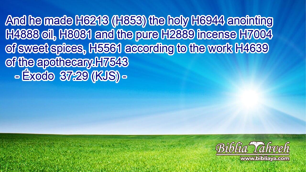 And he made H6213 (H853) the holy H6944 anointing H4888 oil, H8081 and the pure H2889 incense H7004 of sweet spices, H5561 according to the work H4639 of the apothecary.H7543