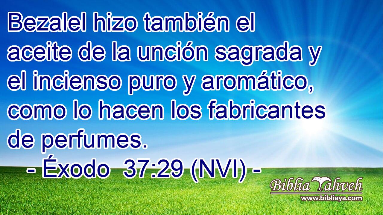  Bezalel hizo también el aceite de la unción sagrada y el incienso puro y aromático, como lo hacen los fabricantes de perfumes. 