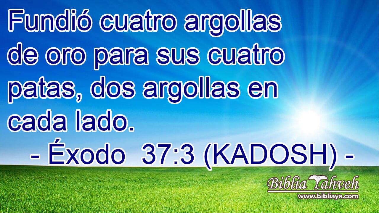  Fundió cuatro argollas de oro para sus cuatro patas, dos argollas en cada lado. 