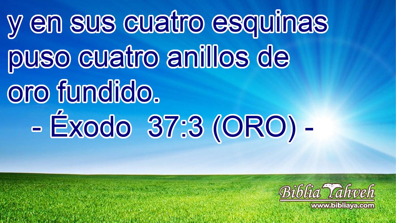  y en sus cuatro esquinas puso cuatro anillos de oro fundido. 