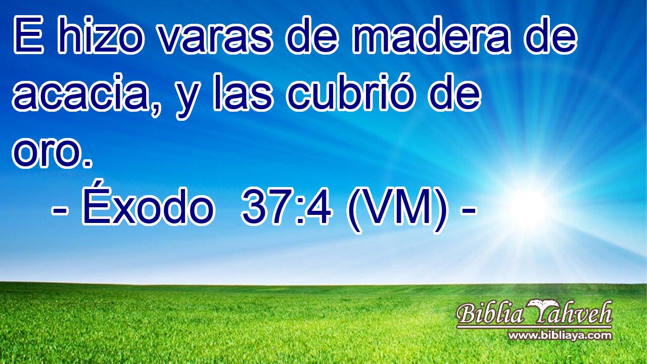  E hizo varas de madera de acacia, y las cubrió de oro. 
