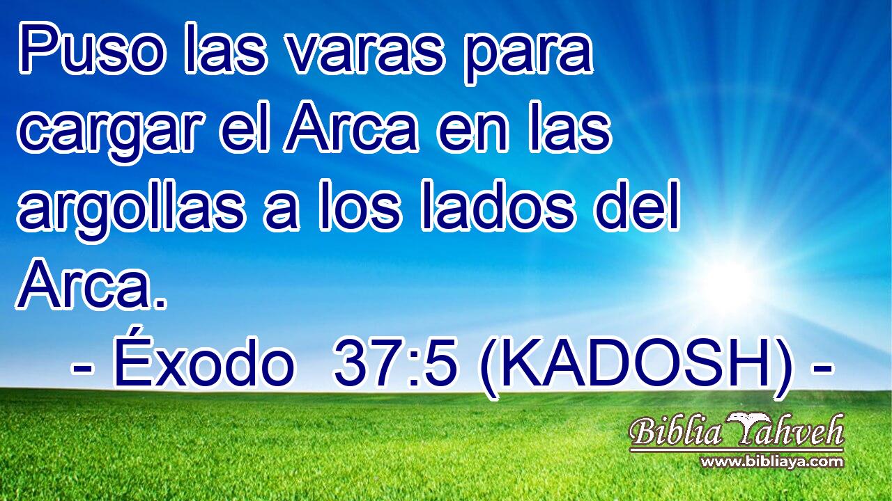  Puso las varas para cargar el Arca en las argollas a los lados del Arca. 