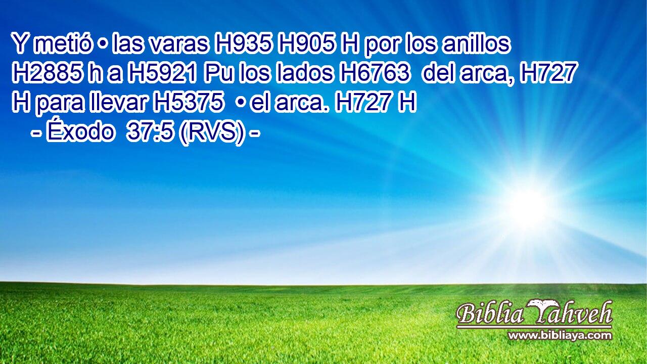 Y metió • las varas H935 H905 H por los anillos H2885 h a H5921 Pu los lados H6763  del arca, H727 H para llevar H5375  • el arca. H727 H 