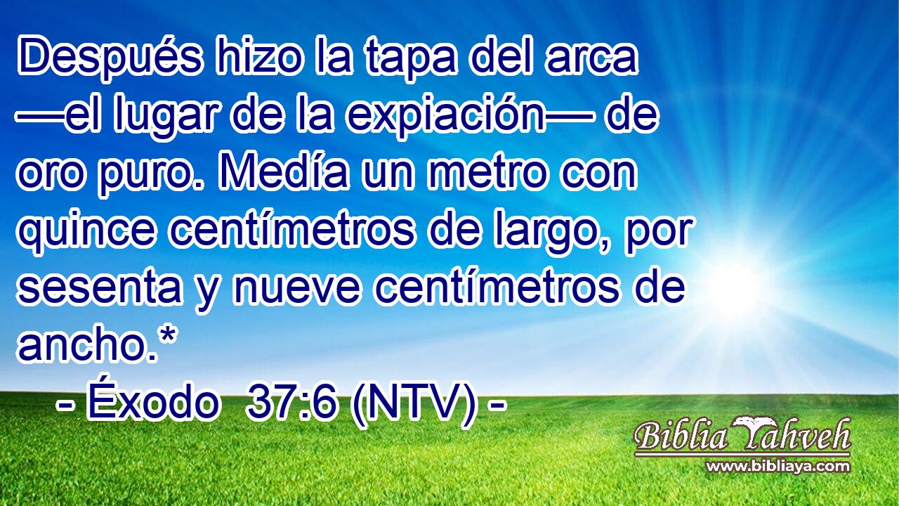 Después hizo la tapa del arca —el lugar de la expiación— de oro puro. Medía un metro con quince centímetros de largo, por sesenta y nueve centímetros de ancho.*