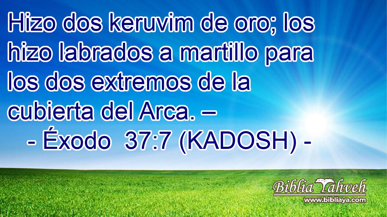  Hizo dos keruvim de oro; los hizo labrados a martillo para los dos extremos de la cubierta del Arca. – 