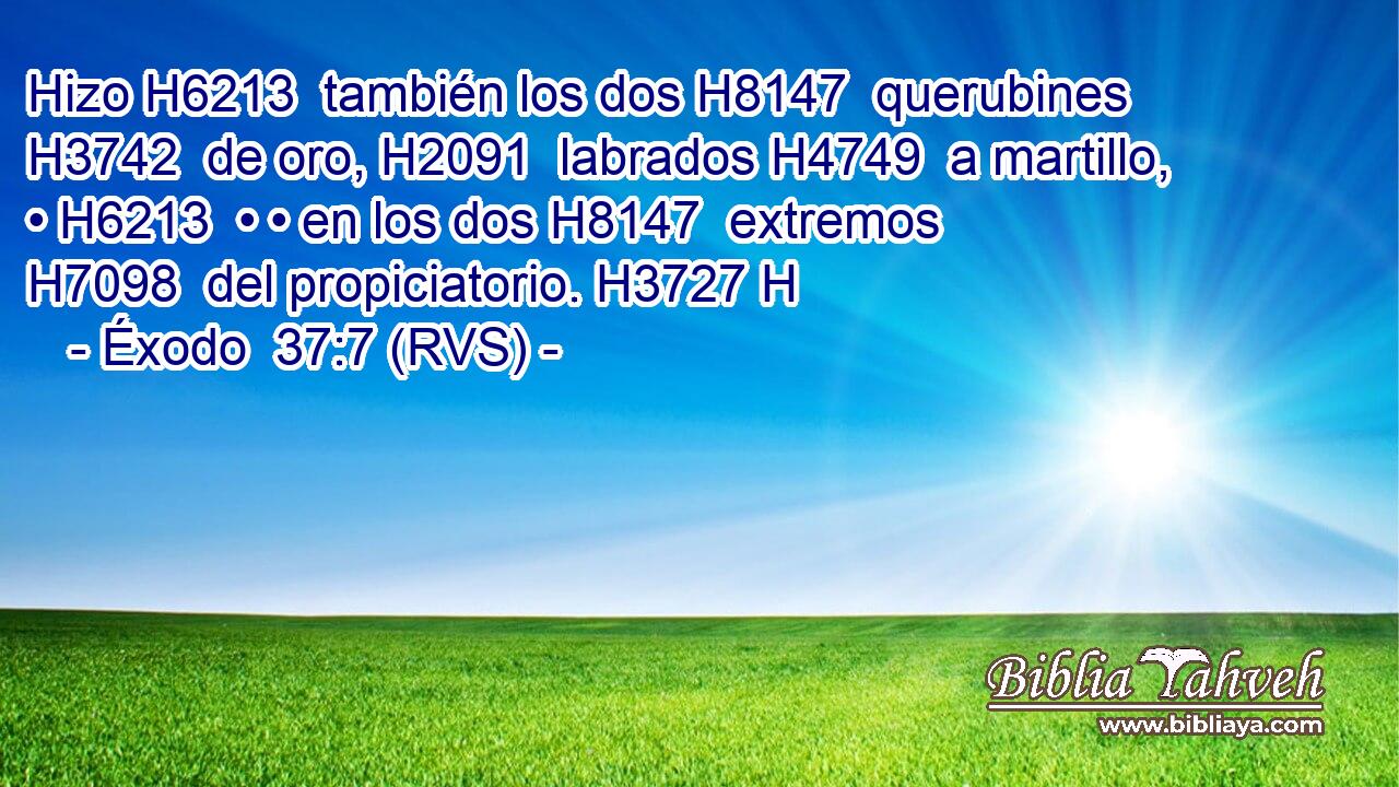 Hizo H6213  también los dos H8147  querubines H3742  de oro, H2091  labrados H4749  a martillo, • H6213  • • en los dos H8147  extremos H7098  del propiciatorio. H3727 H 