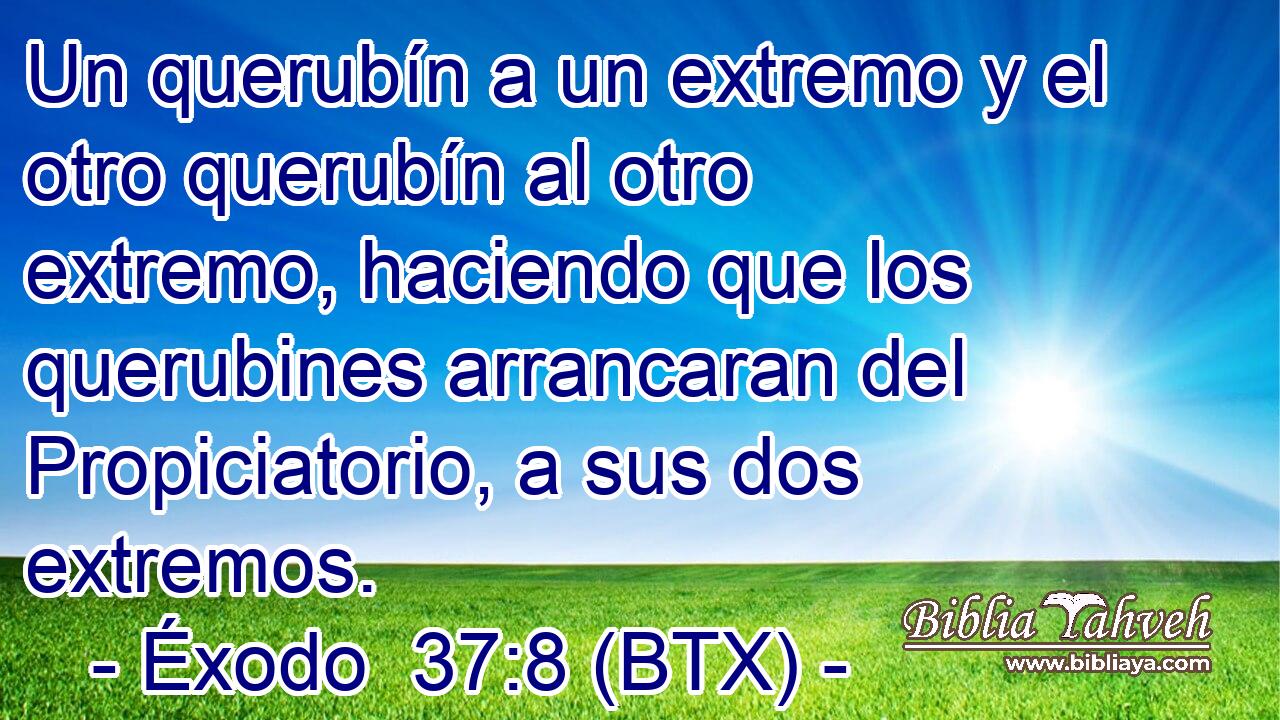 Un querubín a un extremo y el otro querubín al otro extremo, haciendo que los querubines arrancaran del Propiciatorio, a sus dos extremos.