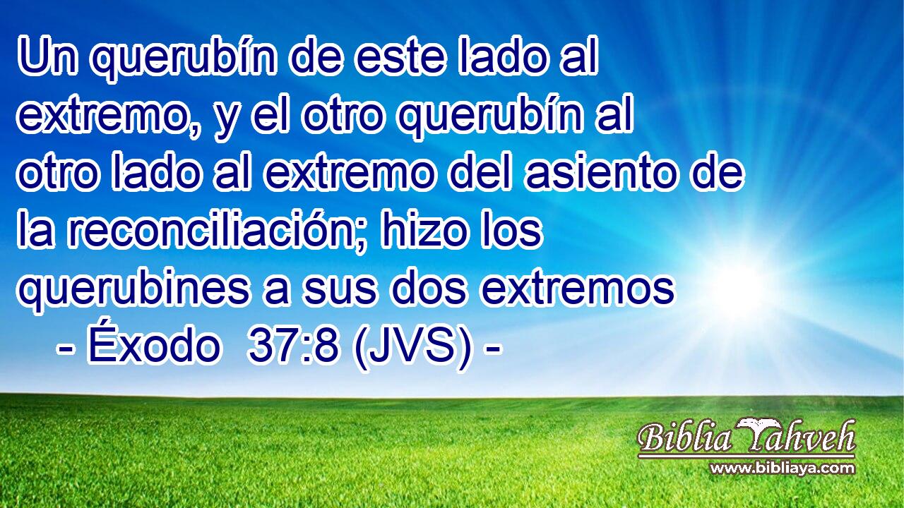 Un querubín de este lado al extremo, y el otro querubín al otro lado al extremo del asiento de la reconciliación; hizo los querubines a sus dos extremos