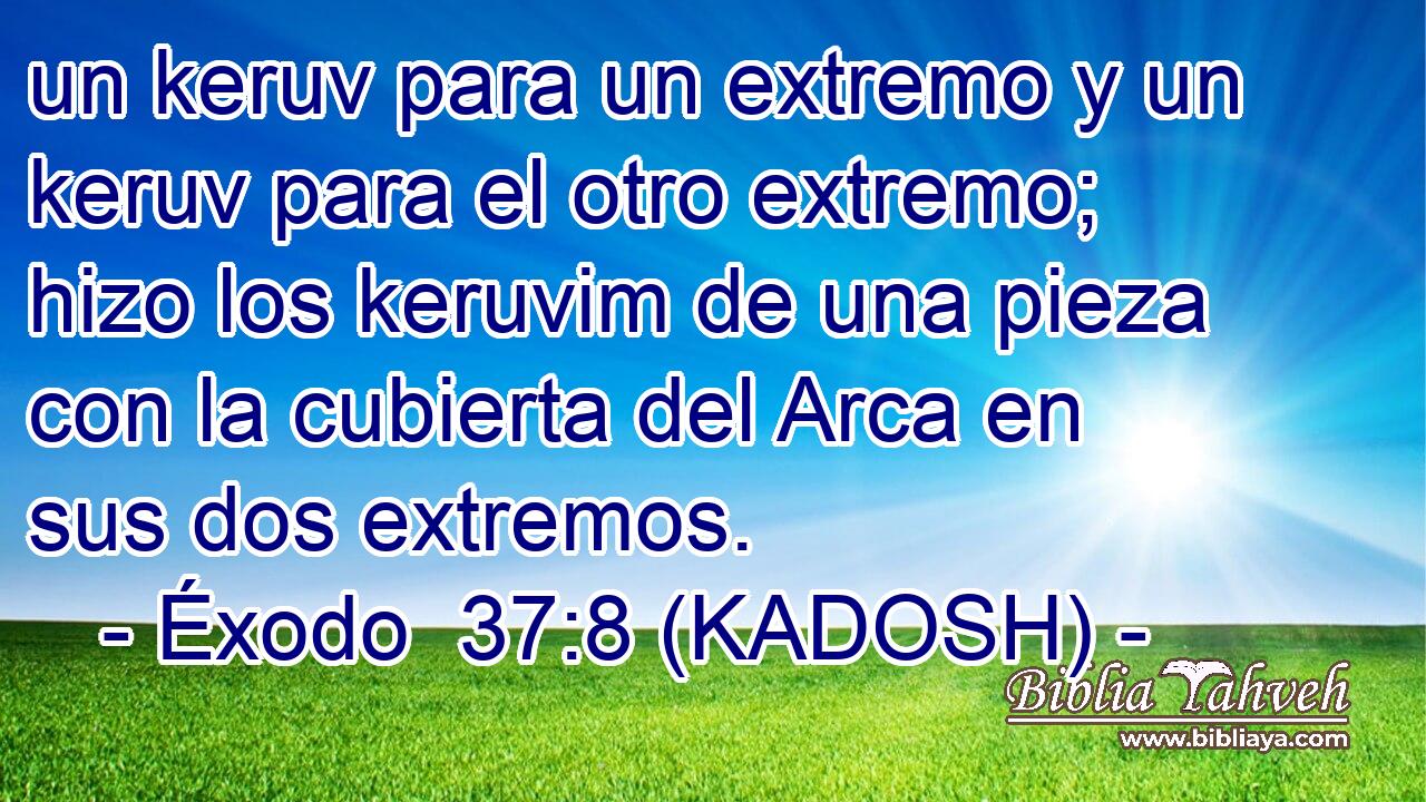  un keruv para un extremo y un keruv para el otro extremo; hizo los keruvim de una pieza con la cubierta del Arca en sus dos extremos. 