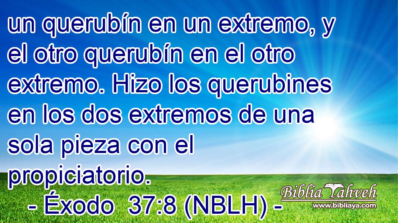  un querubín en un extremo, y el otro querubín en el otro extremo. Hizo los querubines en los dos extremos de una sola pieza con el propiciatorio. 