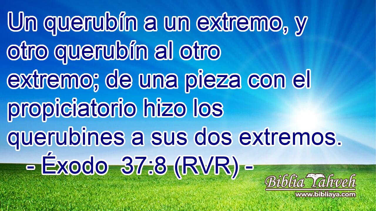 Un querubín a un extremo, y otro querubín al otro extremo; de una pieza con el propiciatorio hizo los querubines a sus dos extremos.