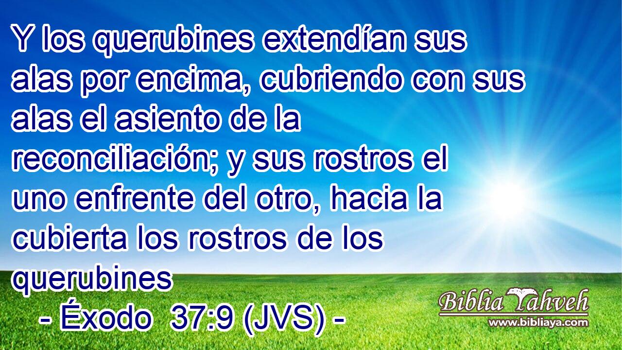 Y los querubines extendían sus alas por encima, cubriendo con sus alas el asiento de la reconciliación; y sus rostros el uno enfrente del otro, hacia la cubierta los rostros de los querubines