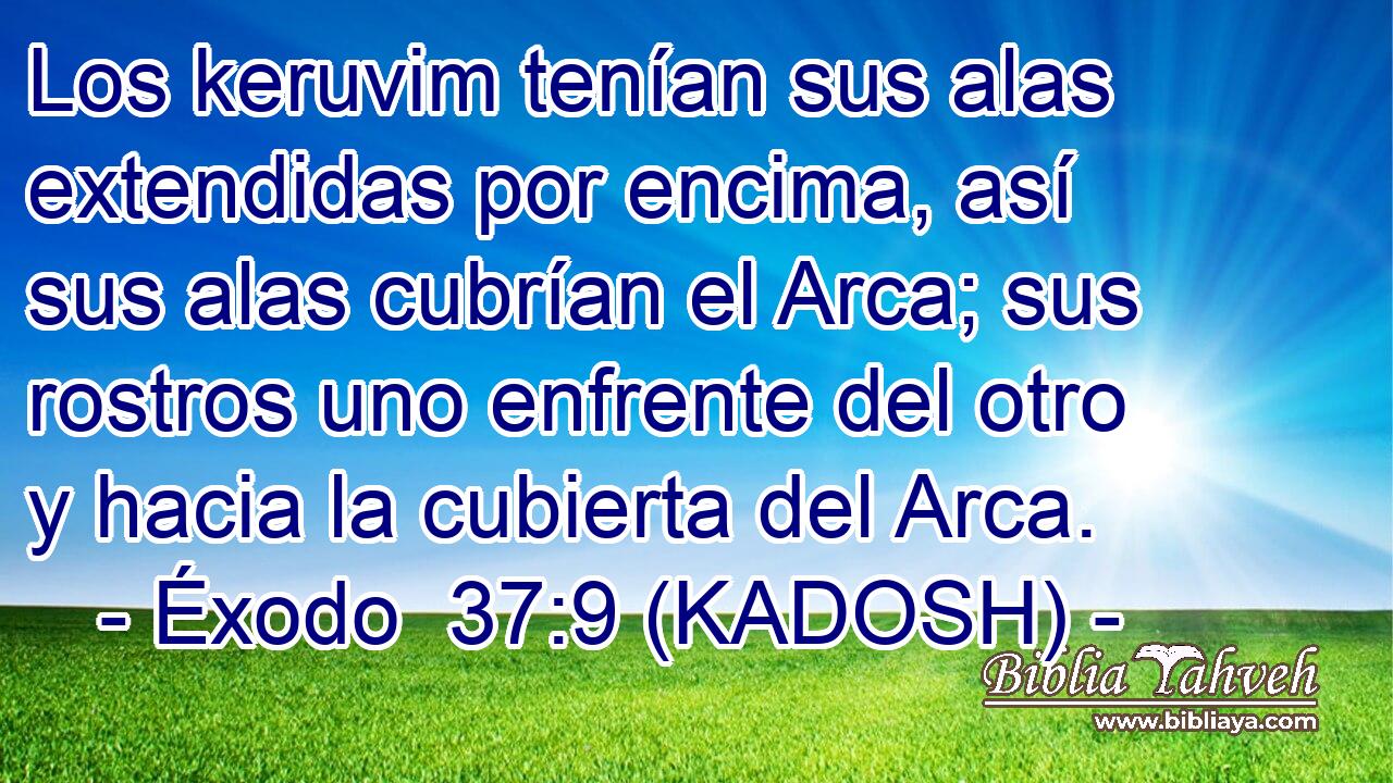  Los keruvim tenían sus alas extendidas por encima, así sus alas cubrían el Arca; sus rostros uno enfrente del otro y hacia la cubierta del Arca. 