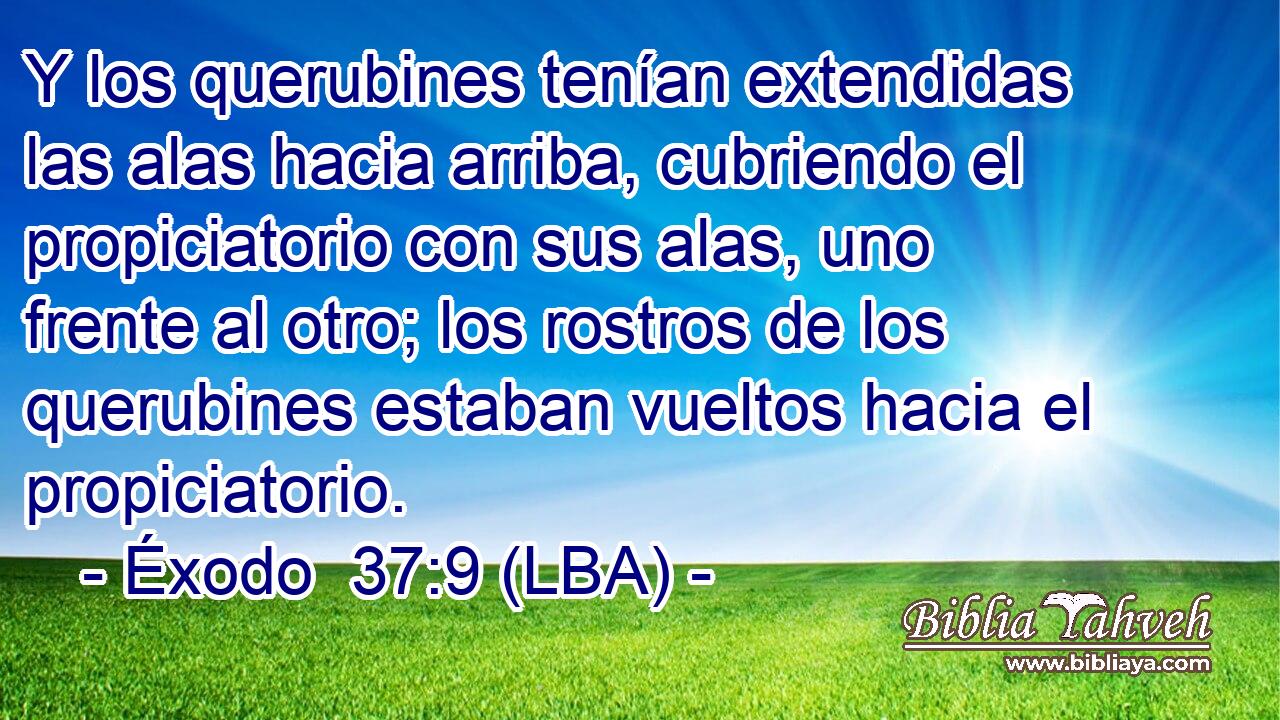 Y los querubines tenían extendidas las alas hacia arriba, cubriendo el propiciatorio con sus alas, uno frente al otro; los rostros de los querubines estaban vueltos hacia el propiciatorio.