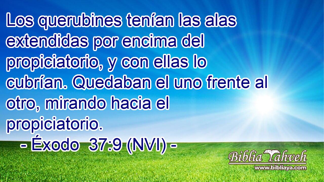  Los querubines tenían las alas extendidas por encima del propiciatorio, y con ellas lo cubrían. Quedaban el uno frente al otro, mirando hacia el propiciatorio. 