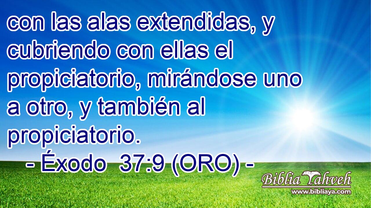  con las alas extendidas, y cubriendo con ellas el propiciatorio, mirándose uno a otro, y también al propiciatorio. 