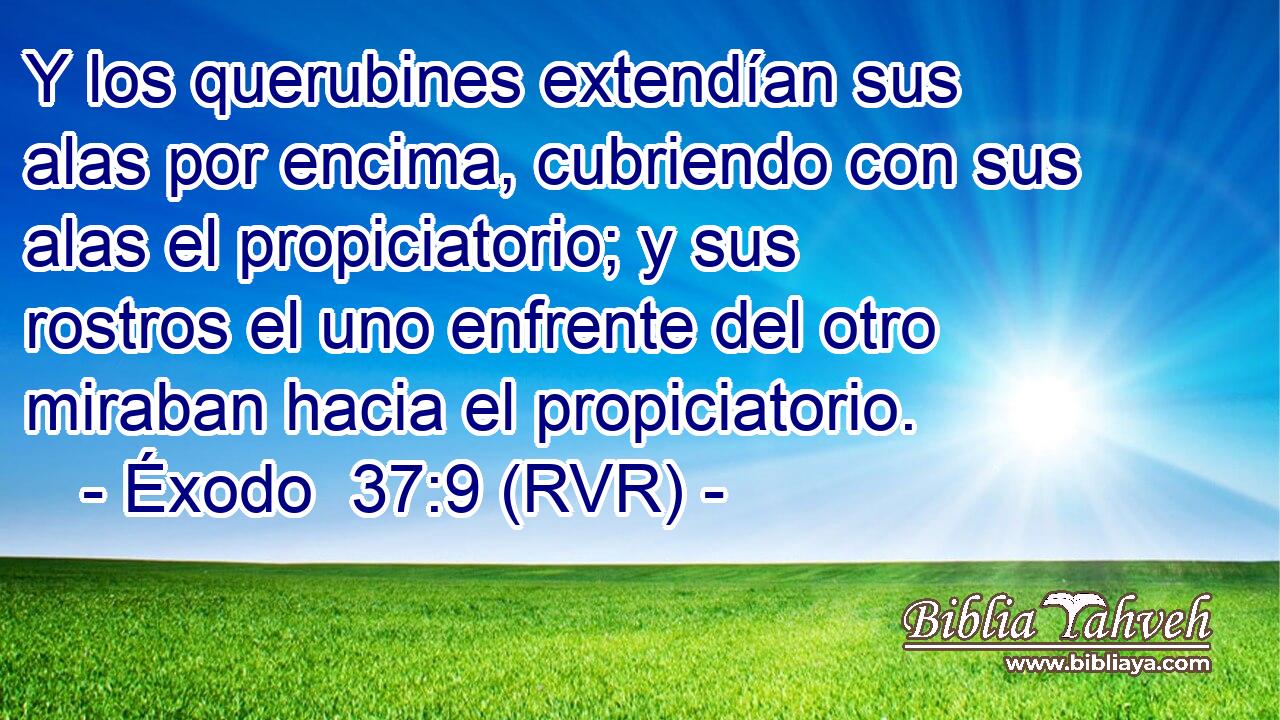 Y los querubines extendían sus alas por encima, cubriendo con sus alas el propiciatorio; y sus rostros el uno enfrente del otro miraban hacia el propiciatorio.