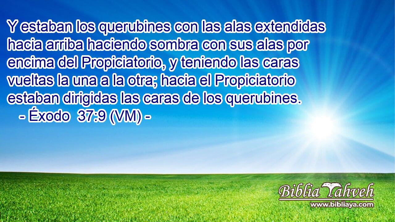  Y estaban los querubines con las alas extendidas hacia arriba haciendo sombra con sus alas por encima del Propiciatorio, y teniendo las caras vueltas la una a la otra; hacia el Propiciatorio estaban dirigidas las caras de los querubines. 