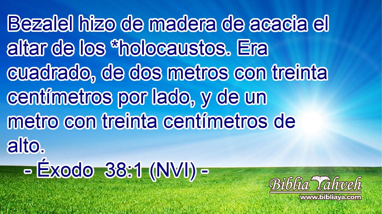  Bezalel hizo de madera de acacia el altar de los *holocaustos. Era cuadrado, de dos metros con treinta centímetros por lado, y de un metro con treinta centímetros de alto. 