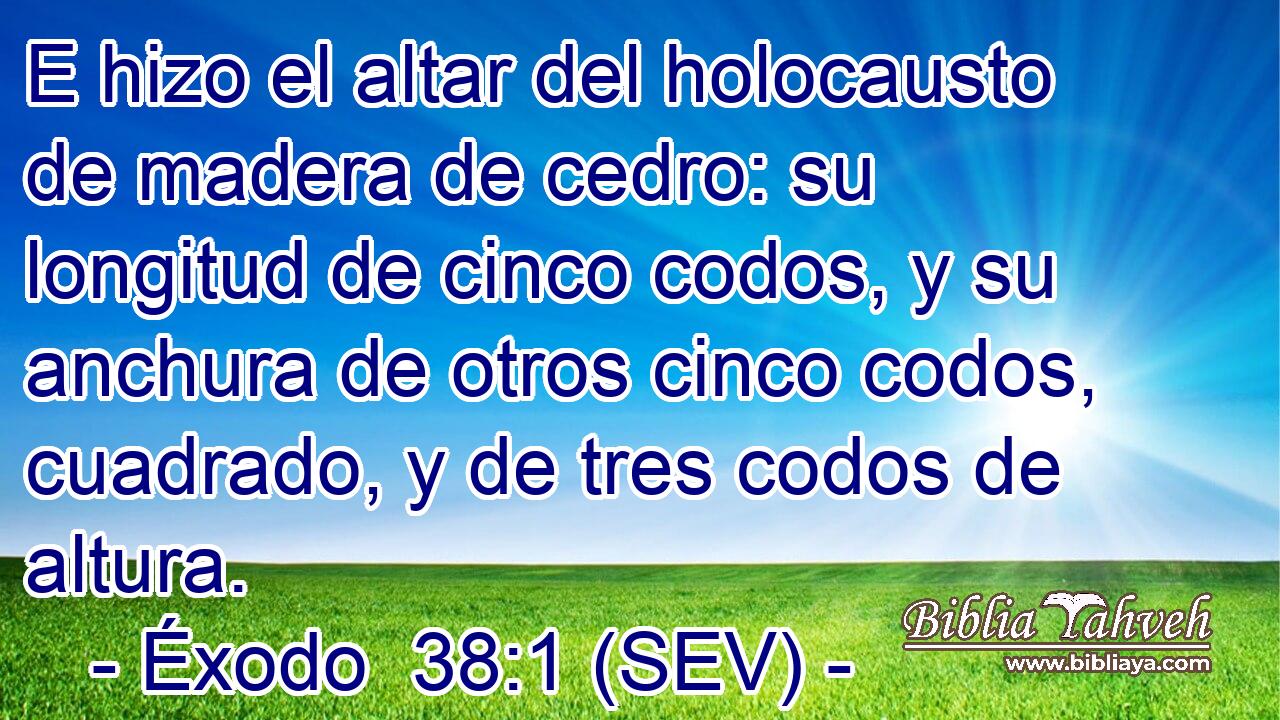 E hizo el altar del holocausto de madera de cedro: su longitud de cinco codos, y su anchura de otros cinco codos, cuadrado, y de tres codos de altura.