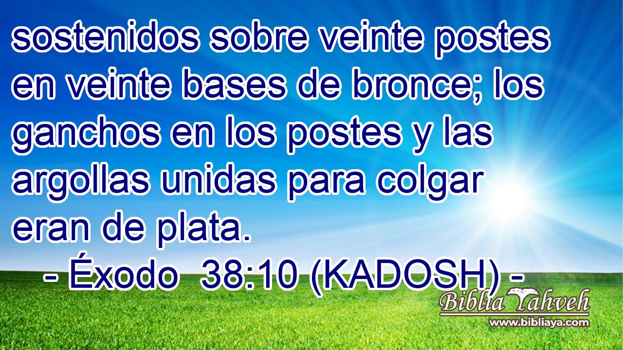  sostenidos sobre veinte postes en veinte bases de bronce; los ganchos en los postes y las argollas unidas para colgar eran de plata. 