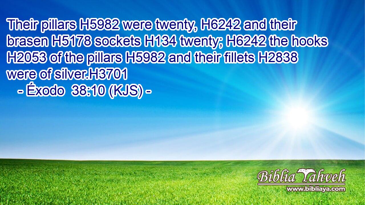 Their pillars H5982 were twenty, H6242 and their brasen H5178 sockets H134 twenty; H6242 the hooks H2053 of the pillars H5982 and their fillets H2838 were of silver.H3701