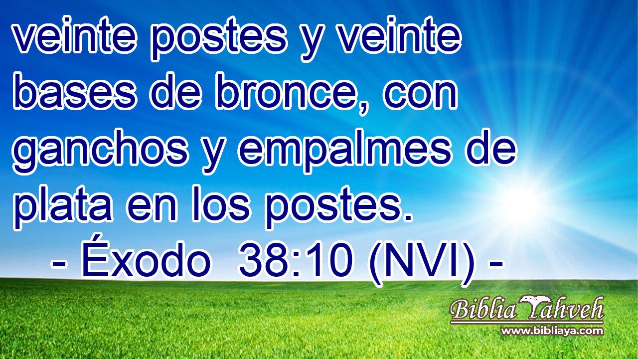  veinte postes y veinte bases de bronce, con ganchos y empalmes de plata en los postes. 