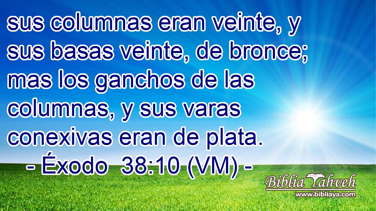  sus columnas eran veinte, y sus basas veinte, de bronce; mas los ganchos de las columnas, y sus varas conexivas eran de plata. 