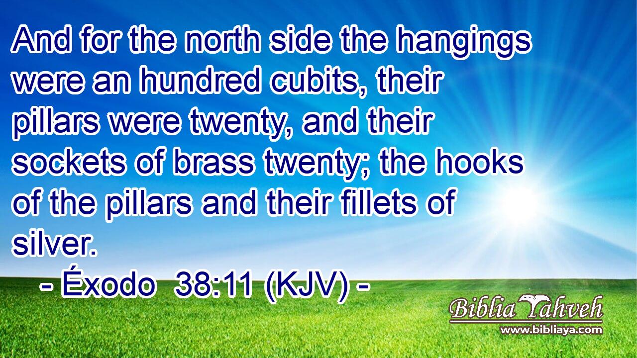 And for the north side the hangings were an hundred cubits, their pillars were twenty, and their sockets of brass twenty; the hooks of the pillars and their fillets of silver.