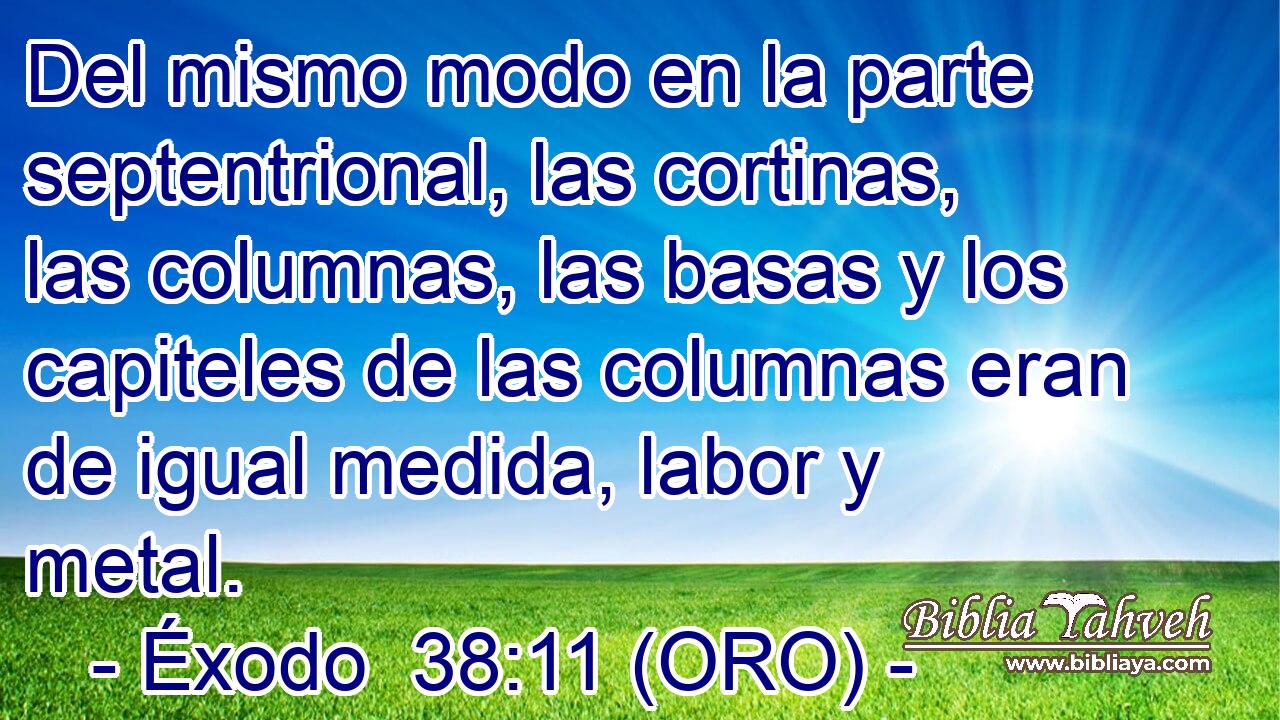  Del mismo modo en la parte septentrional, las cortinas, las columnas, las basas y los capiteles de las columnas eran de igual medida, labor y metal. 