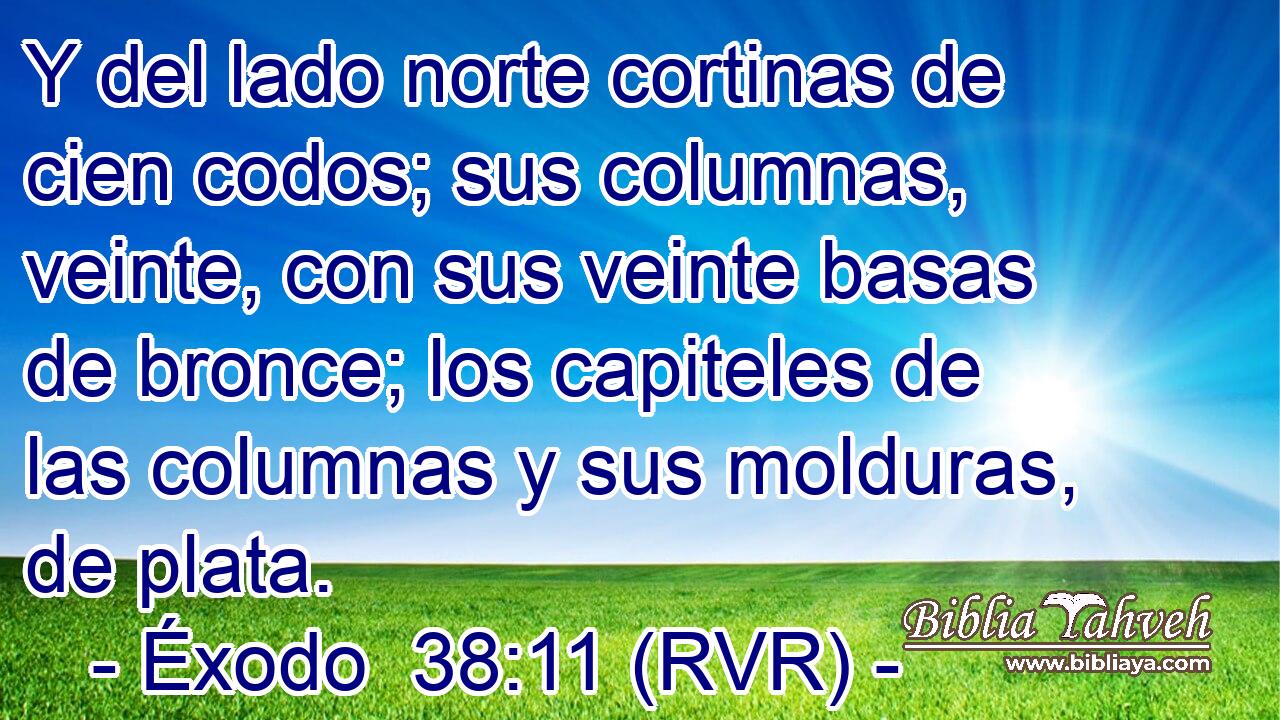 Y del lado norte cortinas de cien codos; sus columnas, veinte, con sus veinte basas de bronce; los capiteles de las columnas y sus molduras, de plata.
