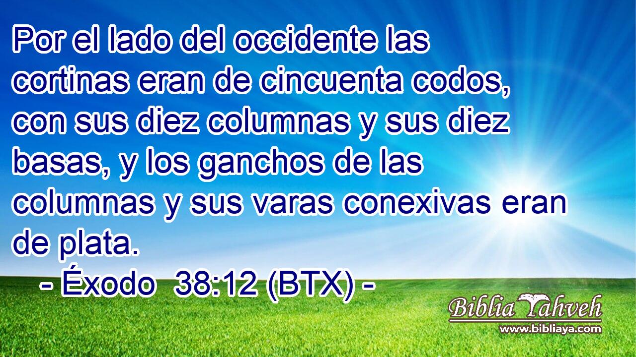 Por el lado del occidente las cortinas eran de cincuenta codos, con sus diez columnas y sus diez basas, y los ganchos de las columnas y sus varas conexivas eran de plata.
