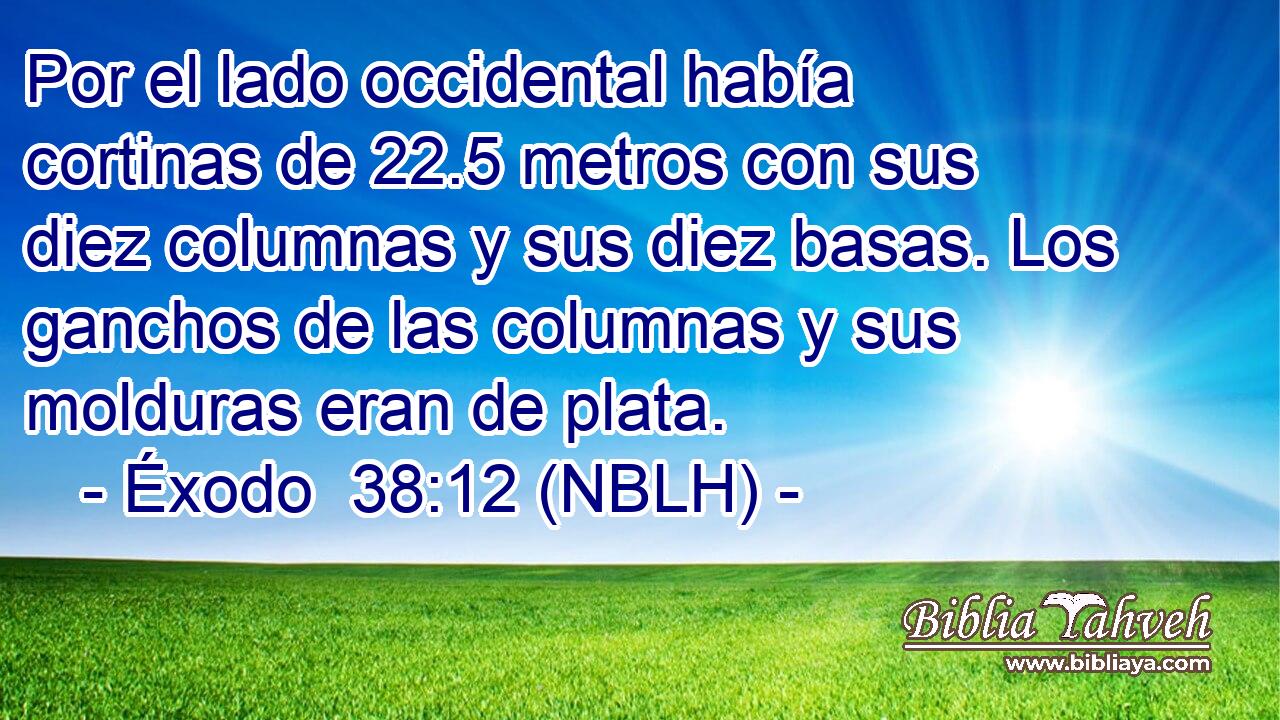  Por el lado occidental había cortinas de 22.5 metros con sus diez columnas y sus diez basas. Los ganchos de las columnas y sus molduras eran de plata. 