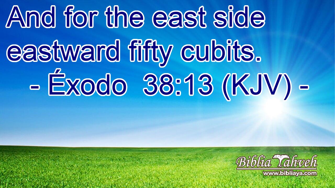 And for the east side eastward fifty cubits.