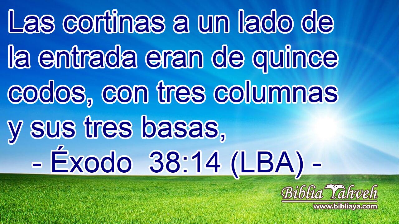 Las cortinas a un lado de la entrada eran de quince codos, con tres columnas y sus tres basas,