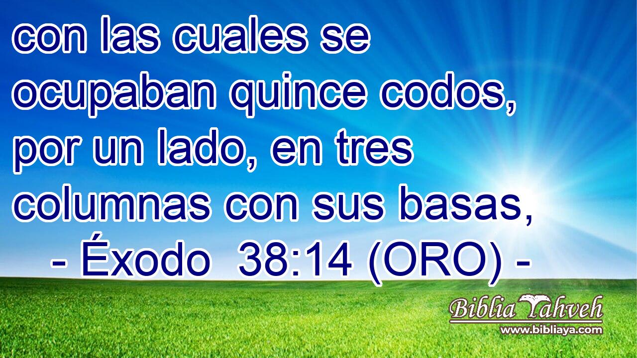  con las cuales se ocupaban quince codos, por un lado, en tres columnas con sus basas, 