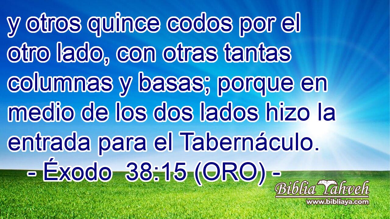  y otros quince codos por el otro lado, con otras tantas columnas y basas; porque en medio de los dos lados hizo la entrada para el Tabernáculo. 