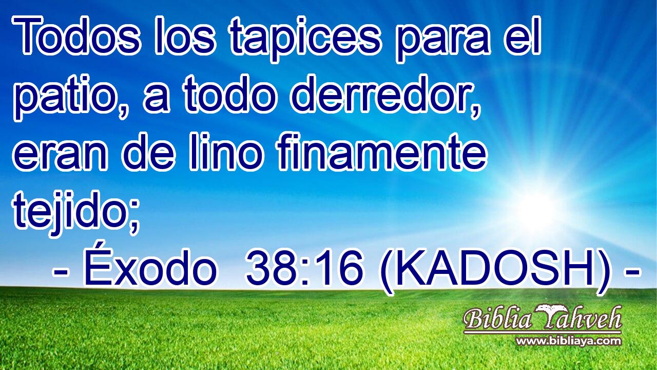  Todos los tapices para el patio, a todo derredor, eran de lino finamente tejido; 