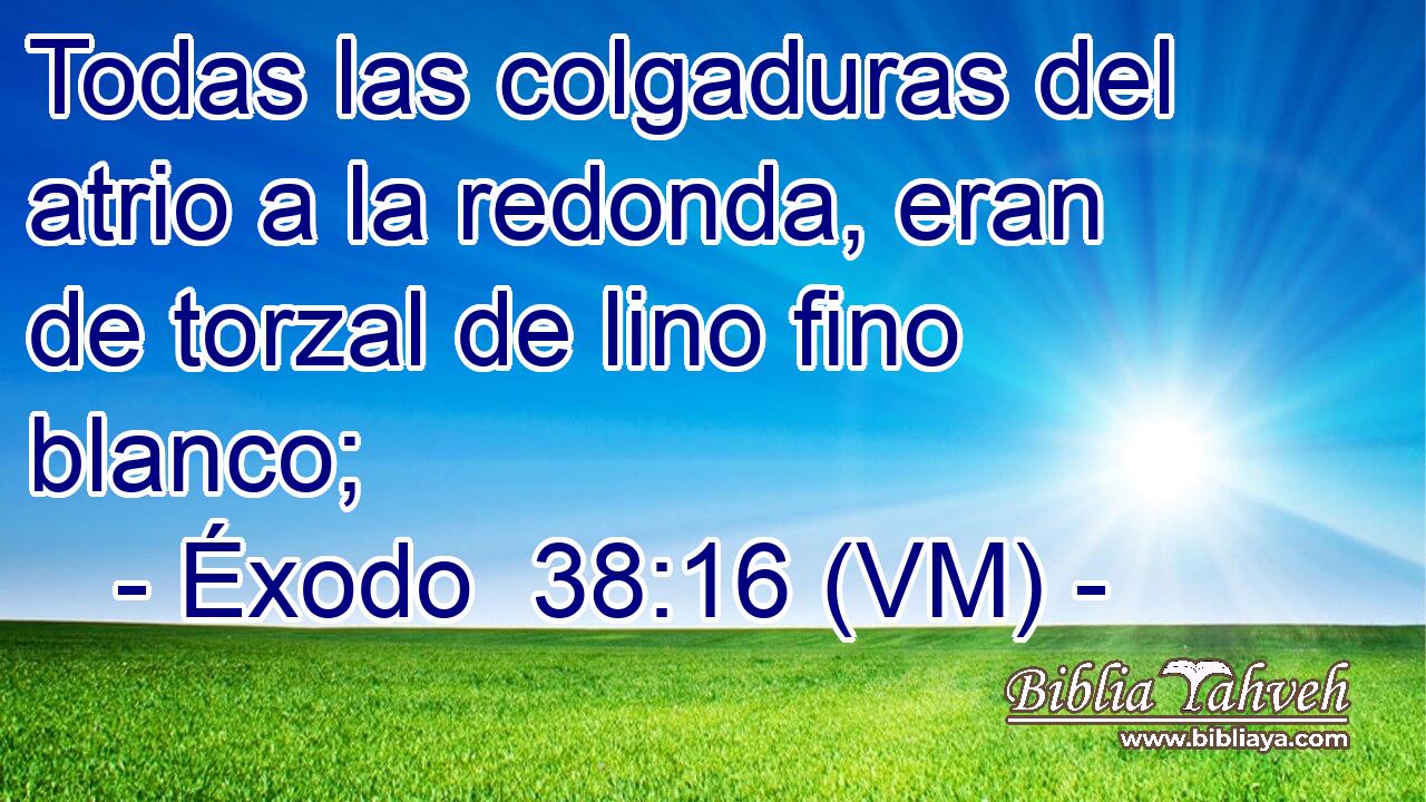  Todas las colgaduras del atrio a la redonda, eran de torzal de lino fino blanco; 