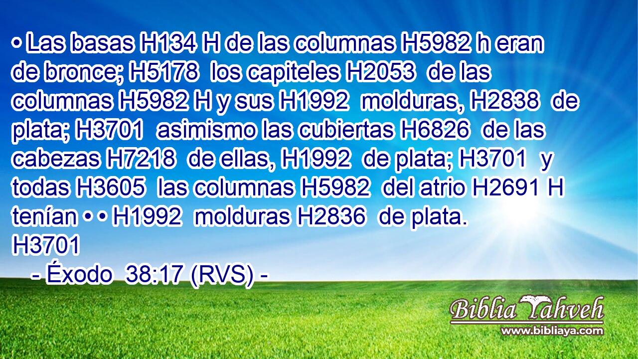 • Las basas H134 H de las columnas H5982 h eran de bronce; H5178  los capiteles H2053  de las columnas H5982 H y sus H1992  molduras, H2838  de plata; H3701  asimismo las cubiertas H6826  de las cabezas H7218  de ellas, H1992  de plata; H3701  y todas H3605  las columnas H5982  del atrio H2691 H tenían • • H1992  molduras H2836  de plata. H3701  