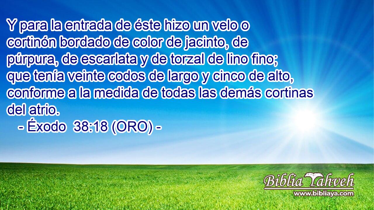  Y para la entrada de éste hizo un velo o cortinón bordado de color de jacinto, de púrpura, de escarlata y de torzal de lino fino; que tenía veinte codos de largo y cinco de alto, conforme a la medida de todas las demás cortinas del atrio. 